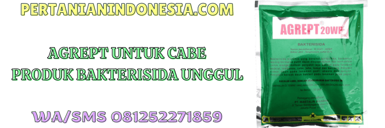 agrept,agrept 20 wp,bakterisida,bakterisida agrept,pertanian indonesia